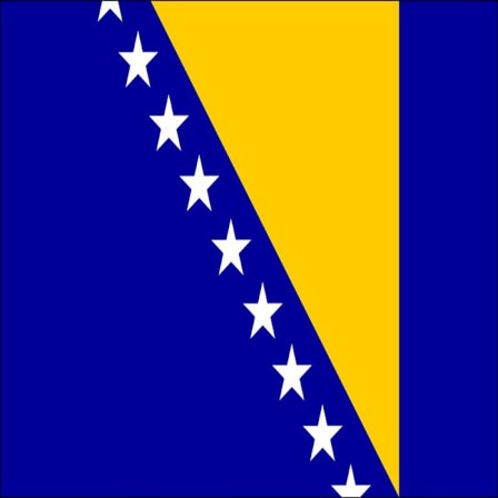 Flagga - Bosnien 100