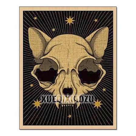 Eläin Tarot -kortit Timanttimaalaus Söpö Pesukarhu Kissa 5D Diy Täysi Rhinestone -mosaiikkikirjonta Ristipisto-sarja Koti Sisustuslahjat XI-573 