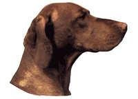 Ungarsk vizsla - klistremerker