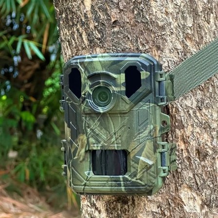 Denver riistakamera 4K videolla, 50 MP kuvalla, PIR-liiketunnistimella ja yökuvauksella (IP66)