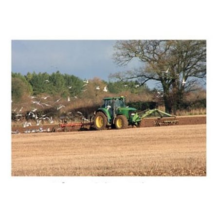 Kevin Milner Ploughing Time Countryside Gratulationskort En Storlek