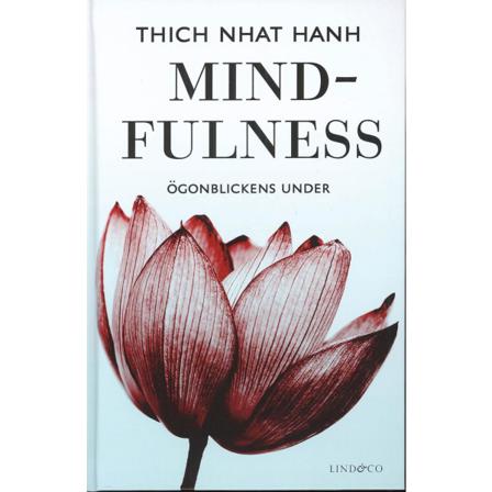Mindfulness : ögonblickens under 9789174610185