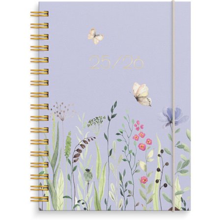 Kalender 25/26 Senator A6 Story Äng