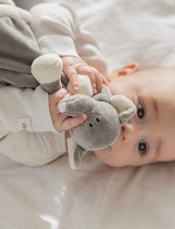 Teddykompaniet Diinglisar, Blankie, Elephant, Grey - Grey - 35X35CM