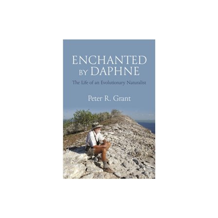 Enchanted by Daphne (häftad, eng)
