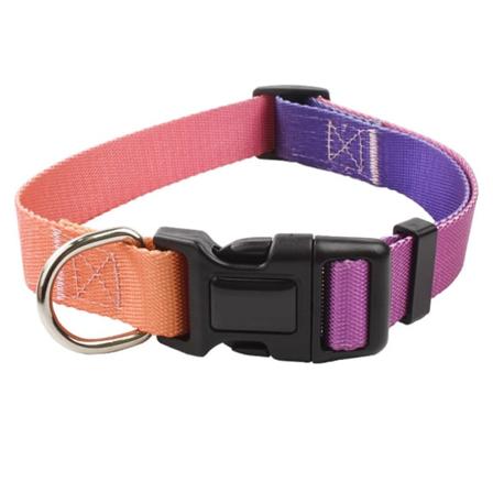 Hundehalsbånd Gradient myk spenne komfortabel nylon justerbar kjæledyr