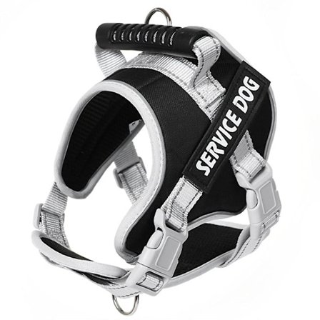 Hundsele och koppel Reflekterande hundselar för små hundar med namn