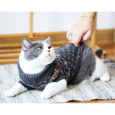 Kattetøj Trøje til Killing Små Hunde, Katte Vinter Strikket Tøj[GPA]