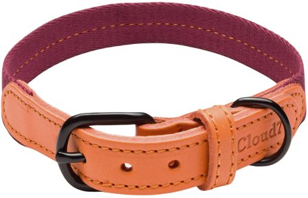 Cloud7 Dog Collar Madeira kaulapanta, XS-M, Papaya