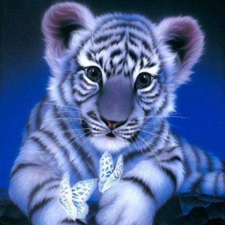 DIY sød dyretiger DIY diamantmaling blå, 5D diamantmalesæt fuld diamanttiger (30X30 tiger),