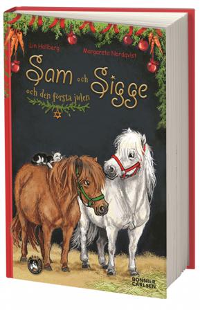 Sam och Sigge och den första julen - Bok av Lin Hallberg - Inbunden