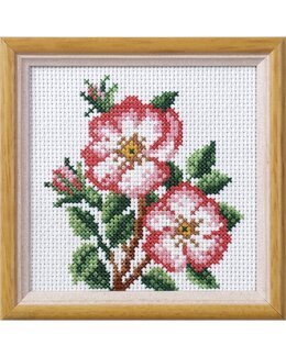 Stickpackung Bild Rosen