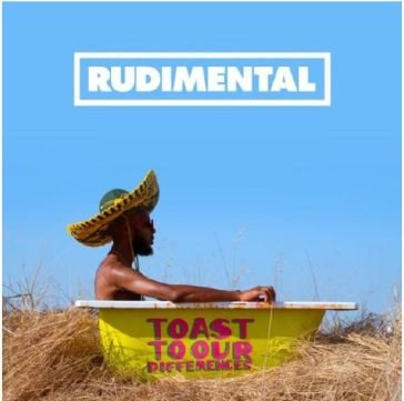 Toast to our differences RUDIMENTAL