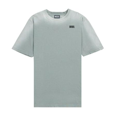 Diesel, T-Shirts Grijs, Heren, Maat:L
