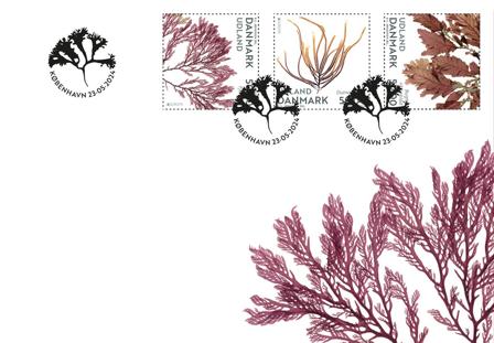 Danmark - Havets åndedræt - Førstedagskuvert med enkeltmærke