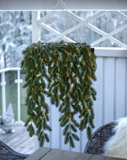 Krans Erna - Star Trading