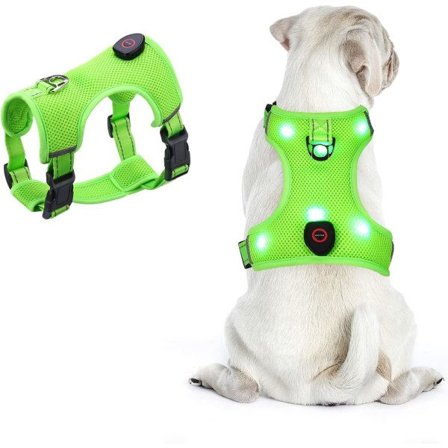 IC LED Hundsele AMIR Small No Pull No Choke Husdjurssele USB Uppladdningsbar 3 Ljuslägen Justerbar Andningsbar, Hals: 12-16,5", S Storlek