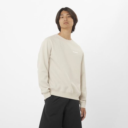 Salomon - Crewneck-Pullover Herren Salomon Logo - Rainy DAY