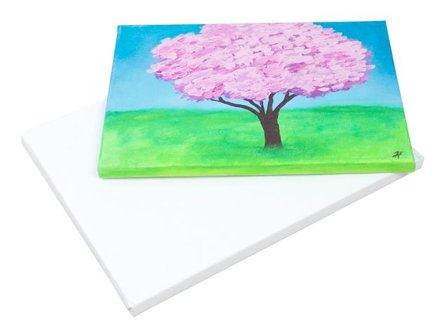 PORTOFINO Målarduk 40x60x1,7 cm 5/fp - Lyreco - Skola och förskola - Konstnärsprodukter - Målardukar och pannåer