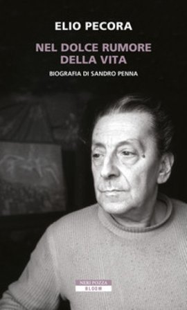 Nel dolce rumore della vita. Biografia di Sandro Penna Elio Pecora