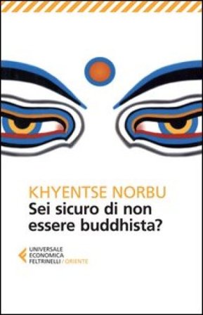 Sei sicuro di non essere buddhista? Norbu Khyentse (Rinpoche)