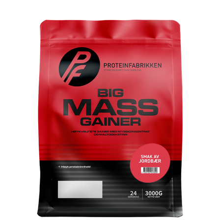 Proteinfabrikken Big Mass Gainer 3000 g