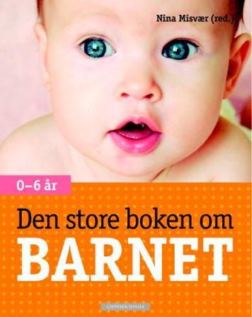 Den store boken om barnet - Bok - Hardback