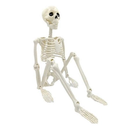 Halloween Skelet Dekoration, Bevægelig Fuld Krops Skelet med Bevægelige Led, Spooky Rekvisit til Have, Græs, Terrasse