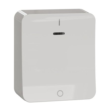 Schneider Electric Exxact Kontrollströmställare 250 V, utanpåliggande 2-polig omkopplare, Strömbrytare & vägguttag