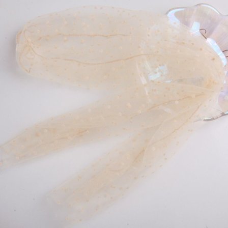 Dot Lace Sock Transparent Mesh Sokker APRIKOS