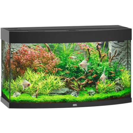 Juwel - Vision 180 svart akvarium - Akvaristikk - Akvarium & møbler - Akvarium - ZOO.no