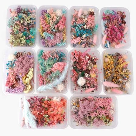 Tørkede blomster Naturlig blomst Art Craft Scrapbooking Resin Jewel Multicolor 5Pcs