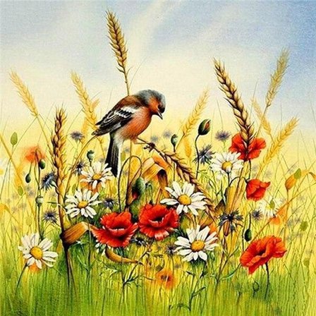 30x40cm DIY 5D Diamantmalerisett, Fugl Diamantmaleri, Pe