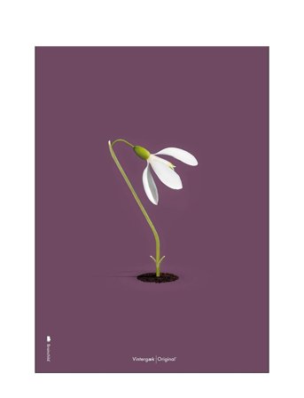 Brainchild Vintergæk Lilla - Multi/patterned - 70X100CM