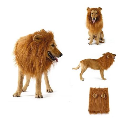 Söt Lejonman Katt Peruk Husdjur Hund Katter Kostym Cosplay Light brown