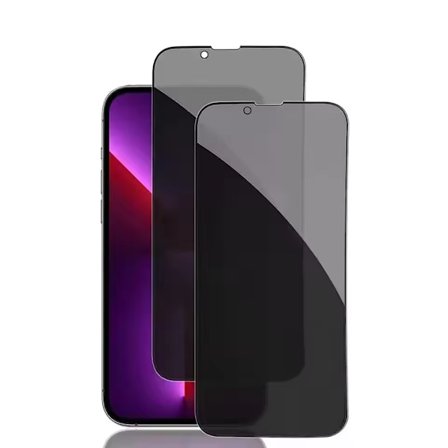 2-pak iPhone 16 PLUS Skærmbeskytter Privacy i Premium Hærdet Glas