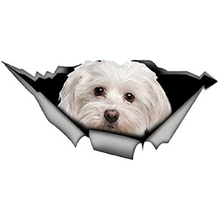 Maltesisk hund reflekterende vinyl klistermærke til bil, vandtæt klistermærke, 3 stk., til indendørs og udendørs brug