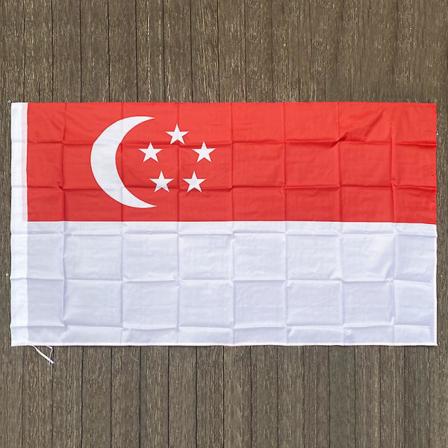 Xvggdg 90x150cm Singaporen lippu 3x5 jalkaa Super Poly Bender