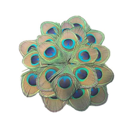 20 kpl Peacock Feather - Upea ja silmiinpistävä Peacock Eyes -kuvio, luonnonhöyheniä DIY- käsitöihin ja koristeluun (FMY)