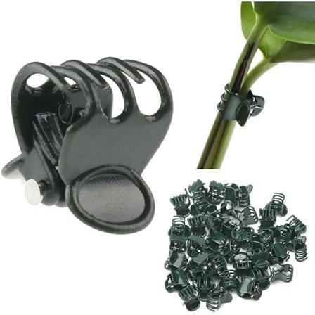 100 st Växtklämmor, Växtklämmor för Klätterväxter, Lämpliga för att Stödja Stammar Rankor Stjälkar att Växa Rakt