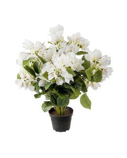 Kunstig Bougainvillea Hvid - Mr Plant