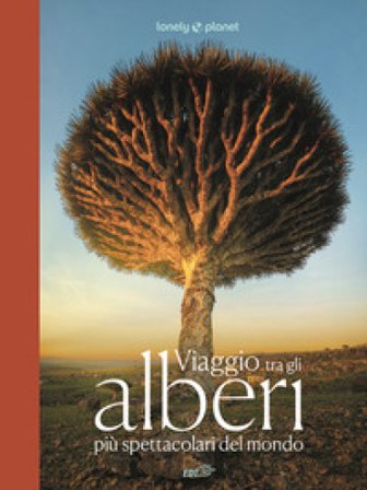 Viaggio tra gli alberi più spettacolari del mondo. Ediz. a colori