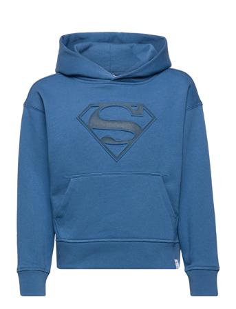 Gapkids | Dc Graphic Hoodie Hettegenser Genser Blå GAP