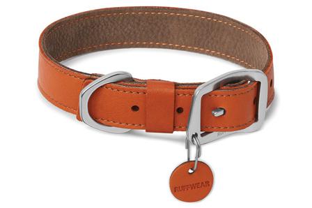 Frisco Läderhalsband - Hurtta, Julius-k9, Fuzzyard, Flexi, Ruffwear, Petstudio, Casual Canine, Dog is Good mm. på Doggie.se
