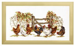 Bild Hühner - Oehlenschläger