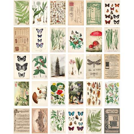 Postkortsett: 30 Vintage Stil Botaniske, Natur og Mayfly Pos