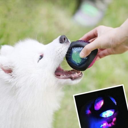 Koirapallo Loistava koiran lelu Kestävä joustava kumipallo Pure