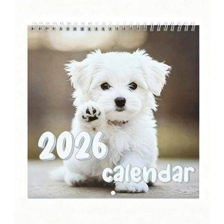 Väggkalender 2026 med valpmönster - Januari till December Hela sidor per månad - Tjockt hållbart papper - Kompatibel med skolor, hem, kontor, 