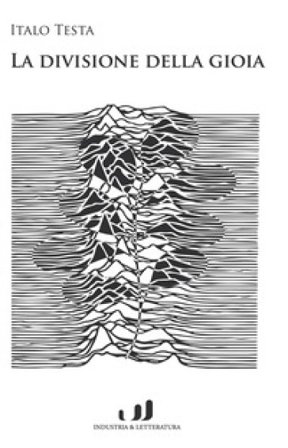 La divisione della gioia Italo Testa