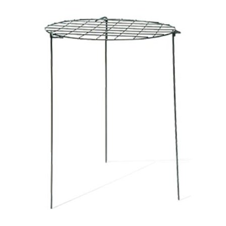 Nelson Garden 6098 Staudestøtte Ø 45 x 70 cm, Avling